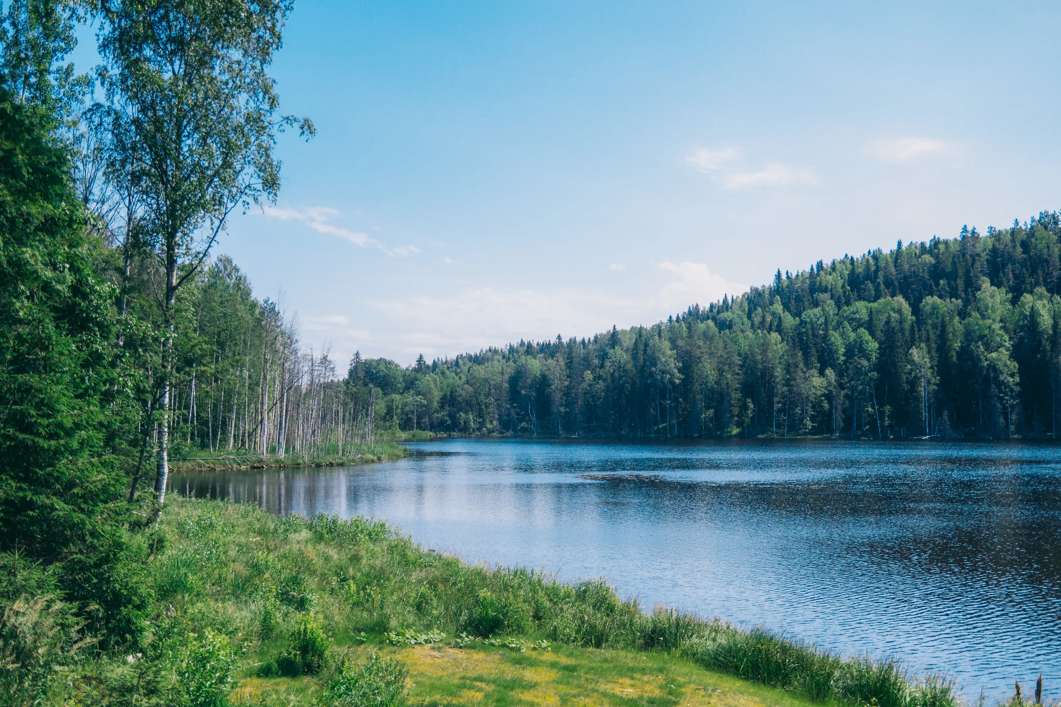 2016 Sustainability Results Report - Continued Results in Bonanza Creek, Yukon